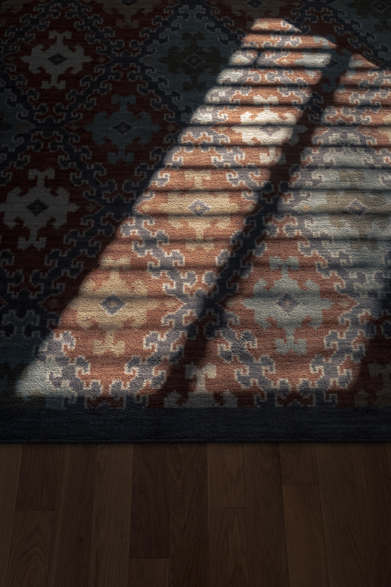Afternoon light. Light and shadow on a rug.