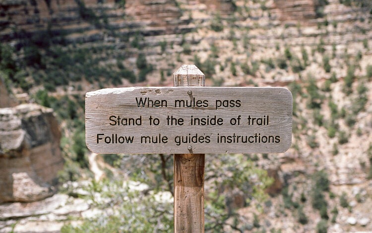 Sign telling hikers to watch out for the mules when they pass