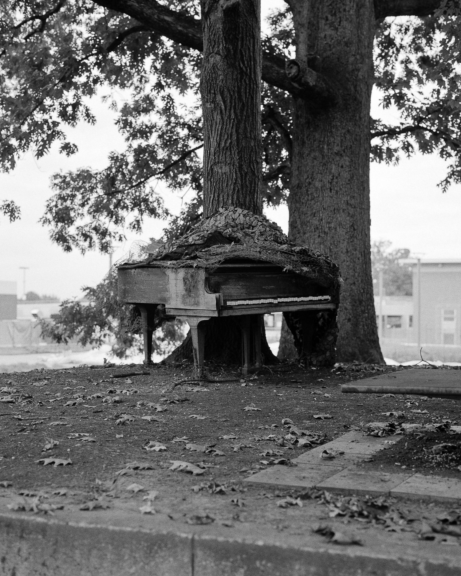 A piano in disrepair outside and under a tree