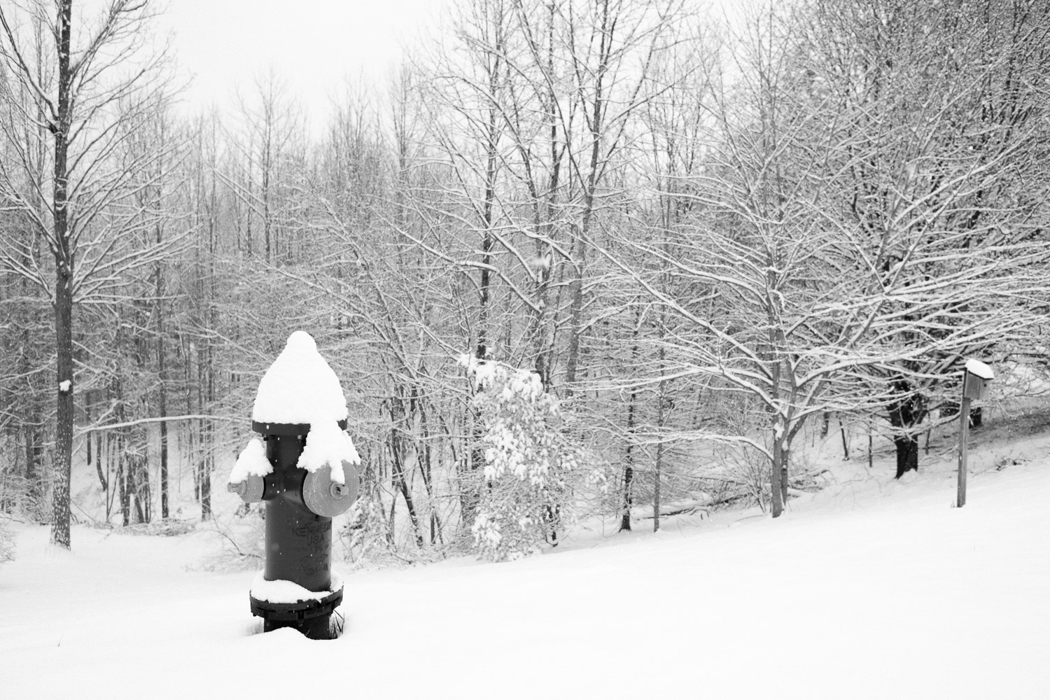 snow-covered fire hydrant