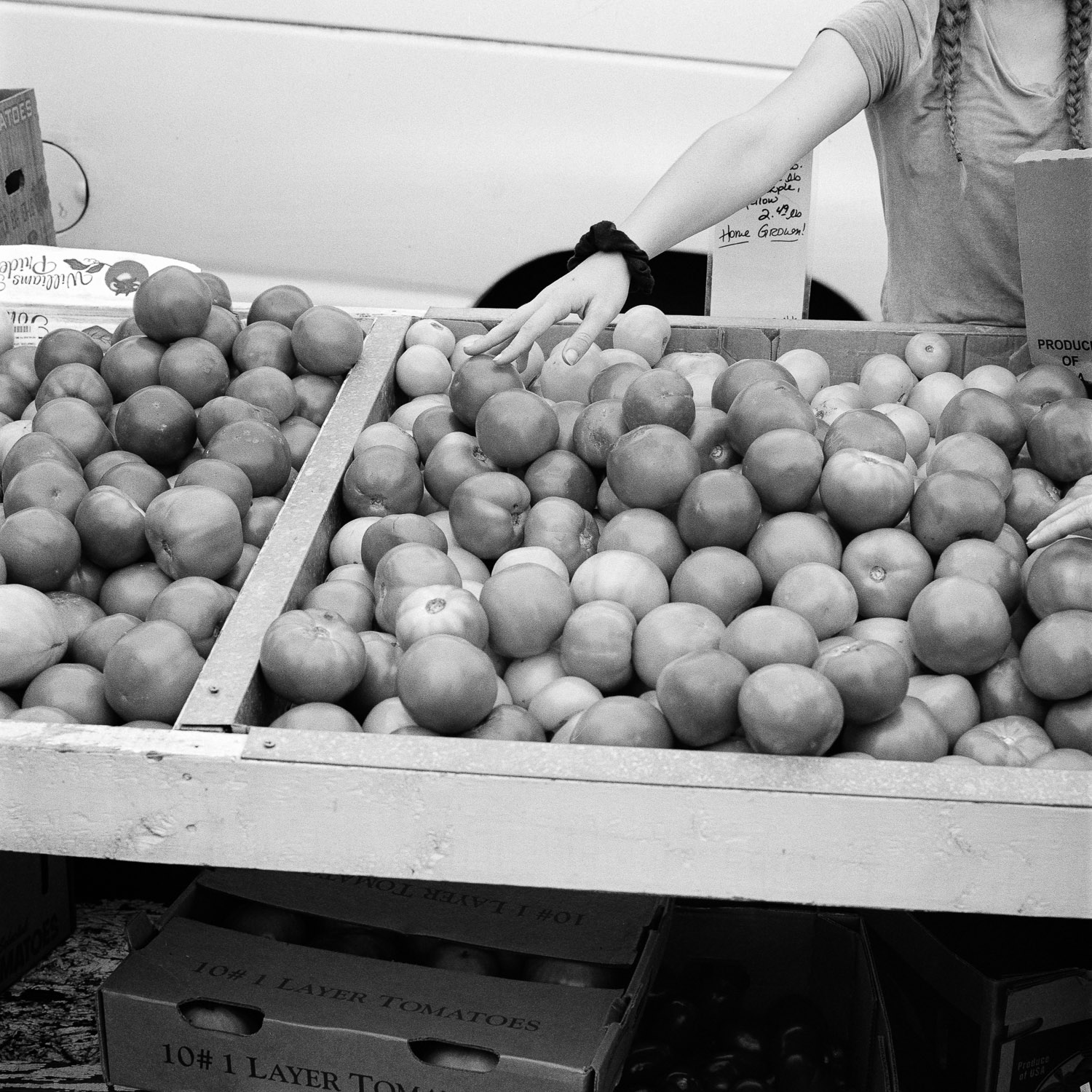 hand on tomatoes at the farmers market