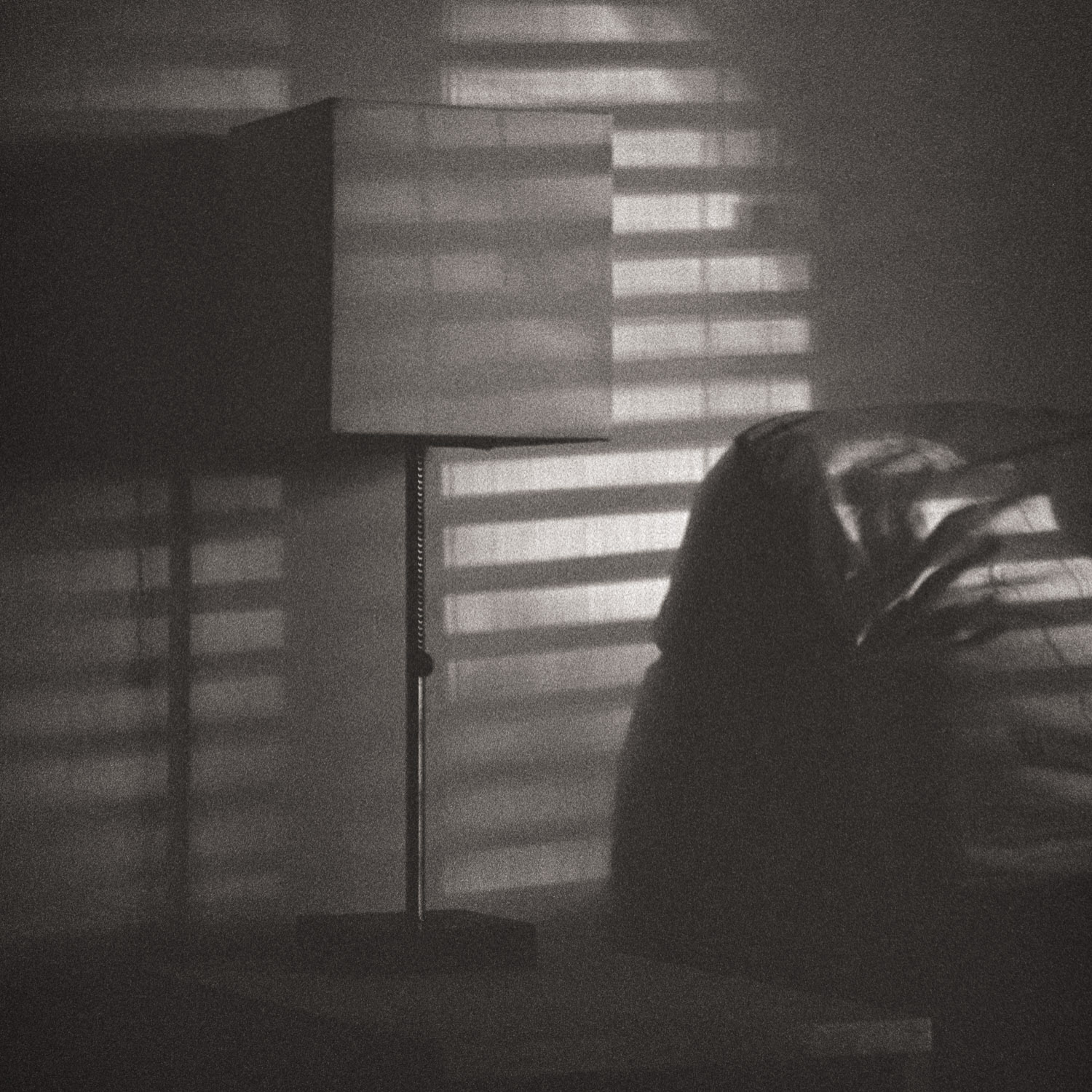 Week 48 of my 2024 52-week film photography project