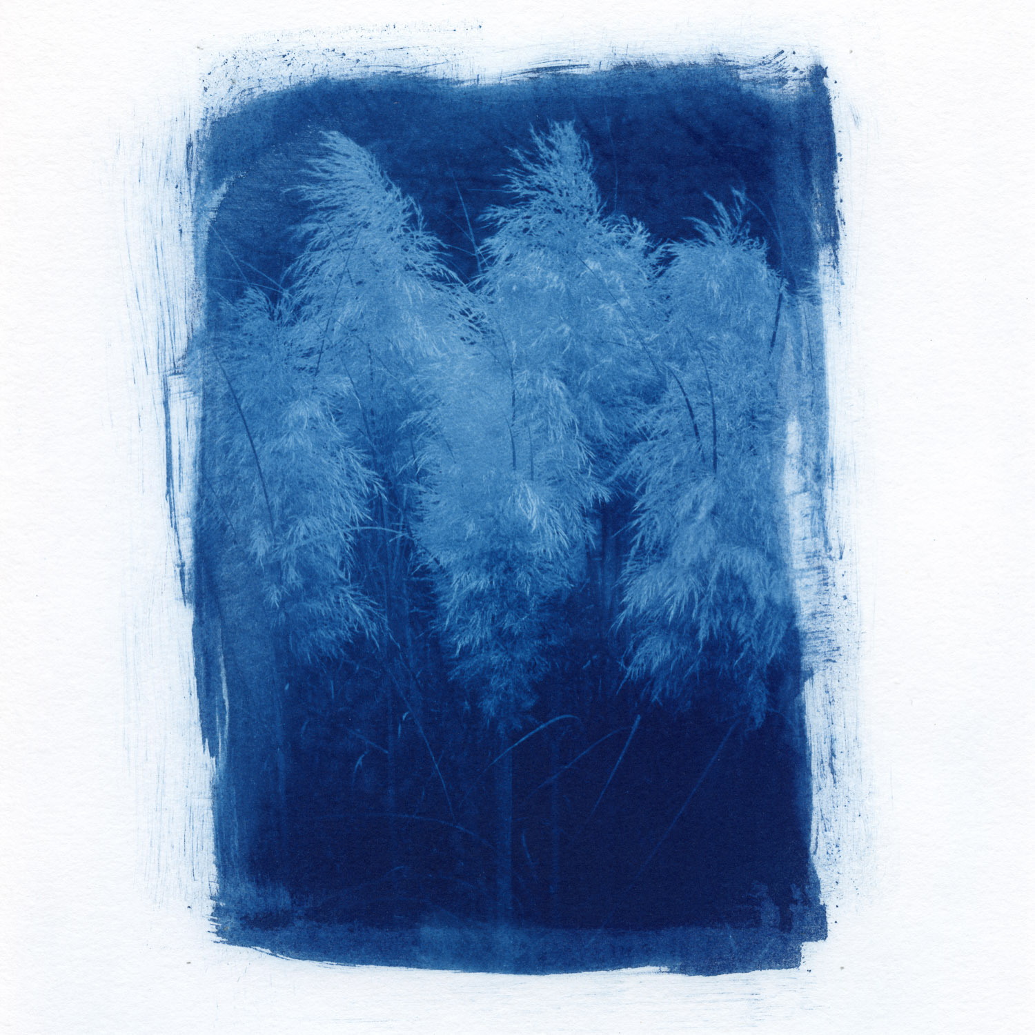 Week 48 of my 2024 52-week film photography project